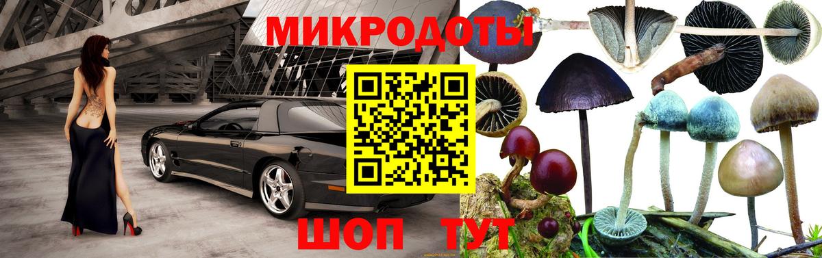 Псилоцибиновые грибы Psilocybe Электрогорск